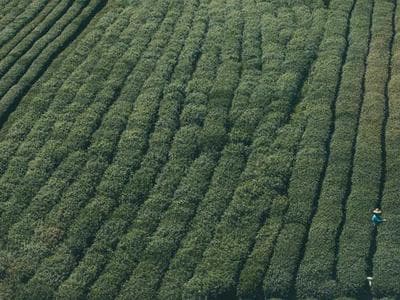 3D 로고 인트로 영상 제작