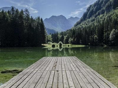 인포그래픽 애니메이션 영상 제작